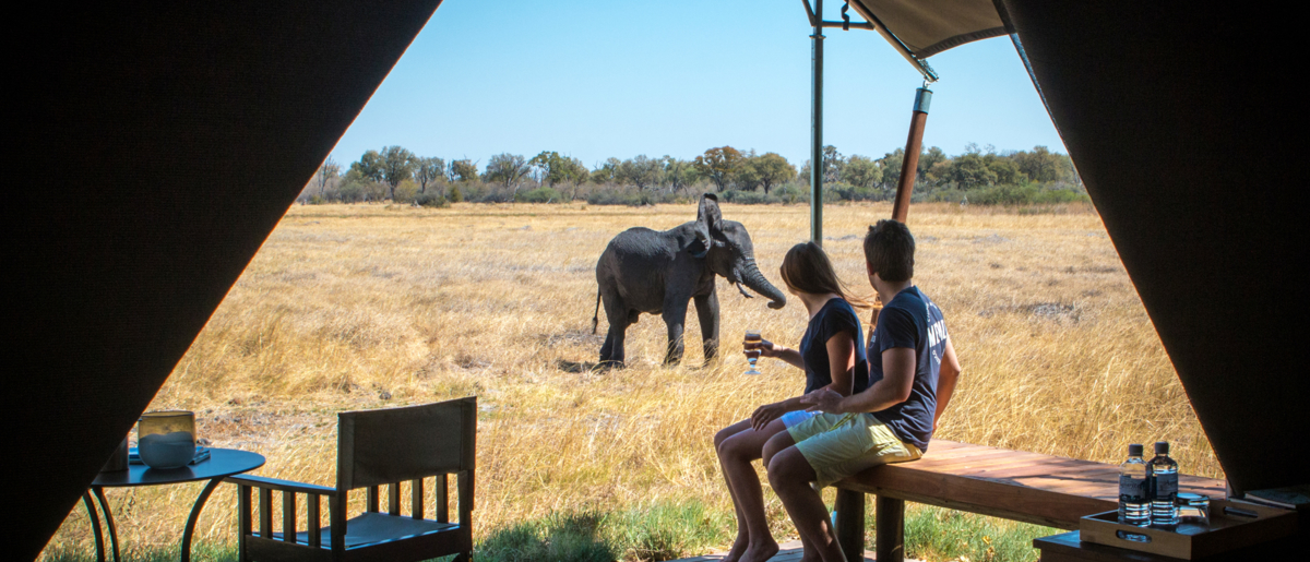 Wildlife Pass Your Tent