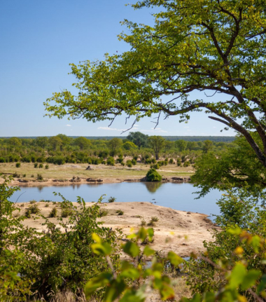 Zimbabwe Hwange National Park View